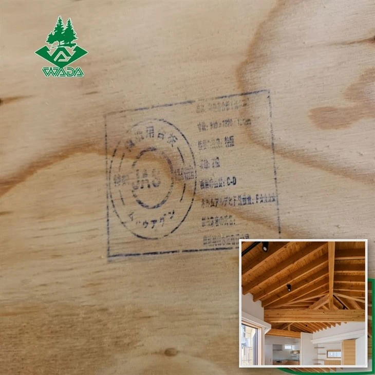 02_Structural_Plywood_For_Roofing_orig_800x800